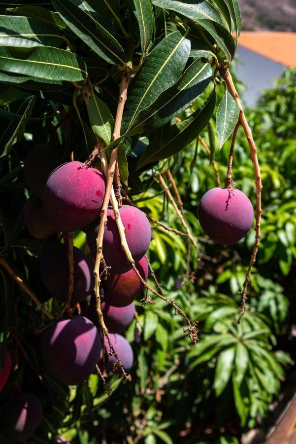Finca El Moral 莫甘海滩 外观 照片