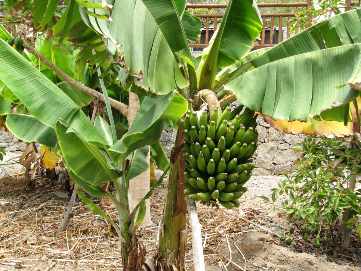 Finca El Moral 莫甘海滩 外观 照片